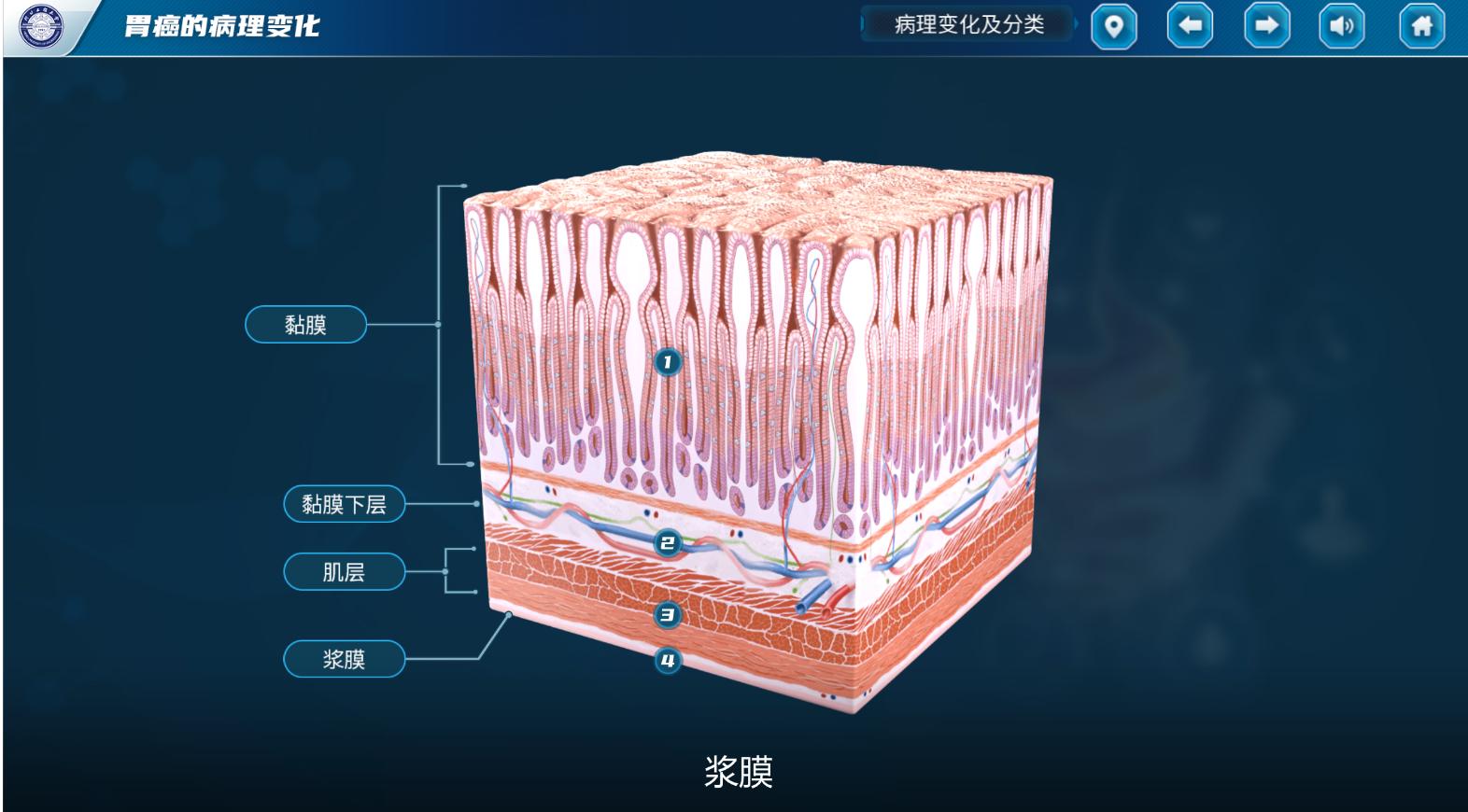 实验详情
