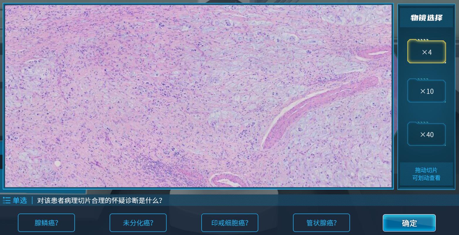 实验详情 