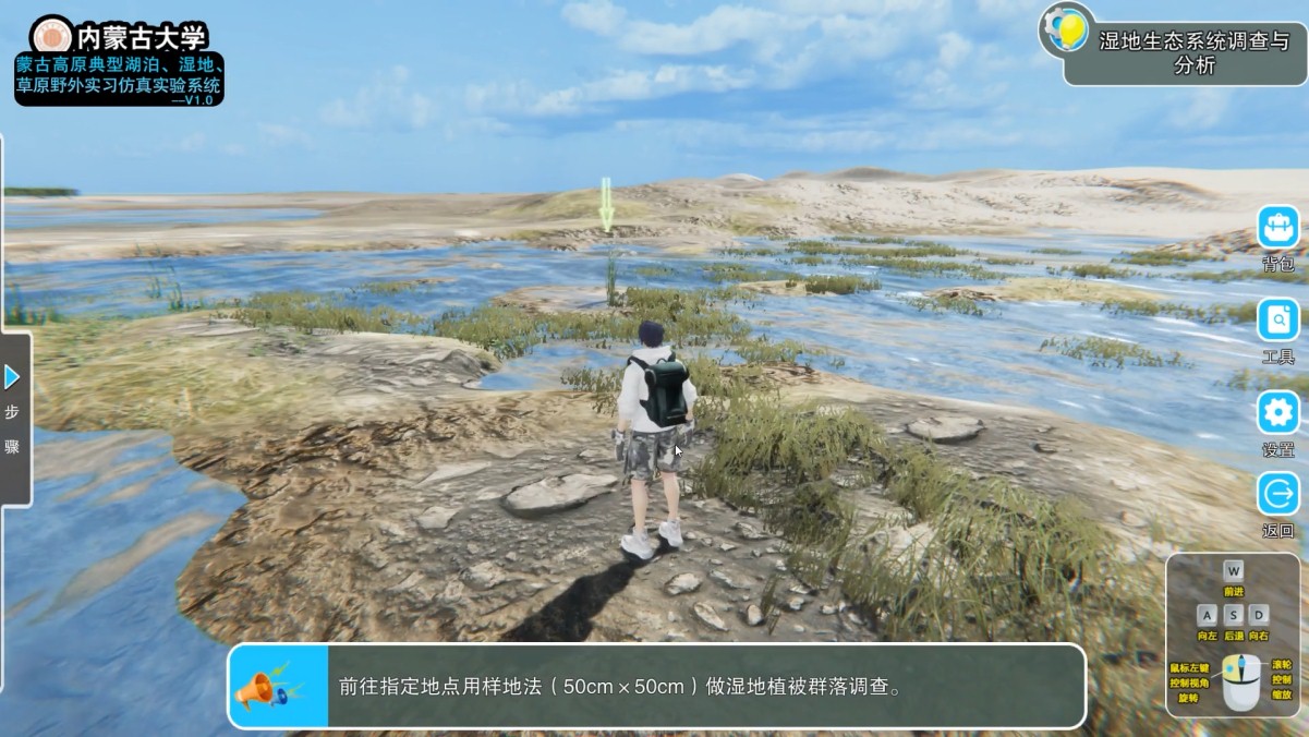 实验详情