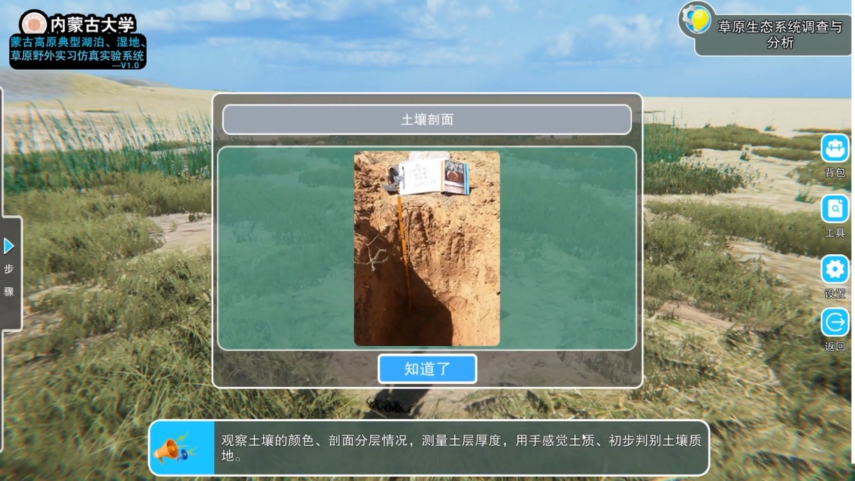 实验详情