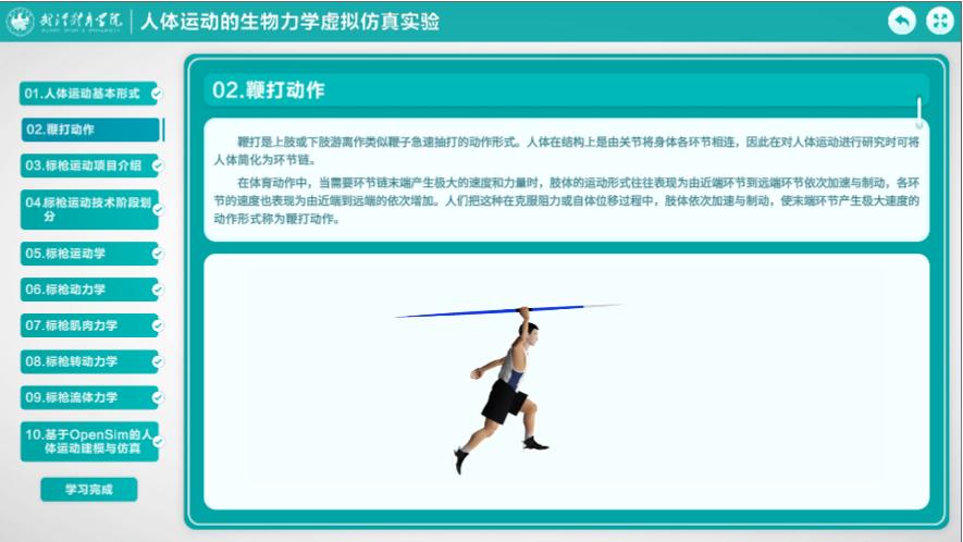 实验详情