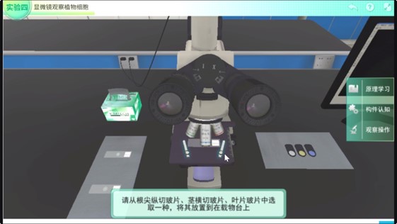 图片8.jpg