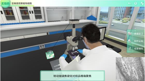 图片10.png