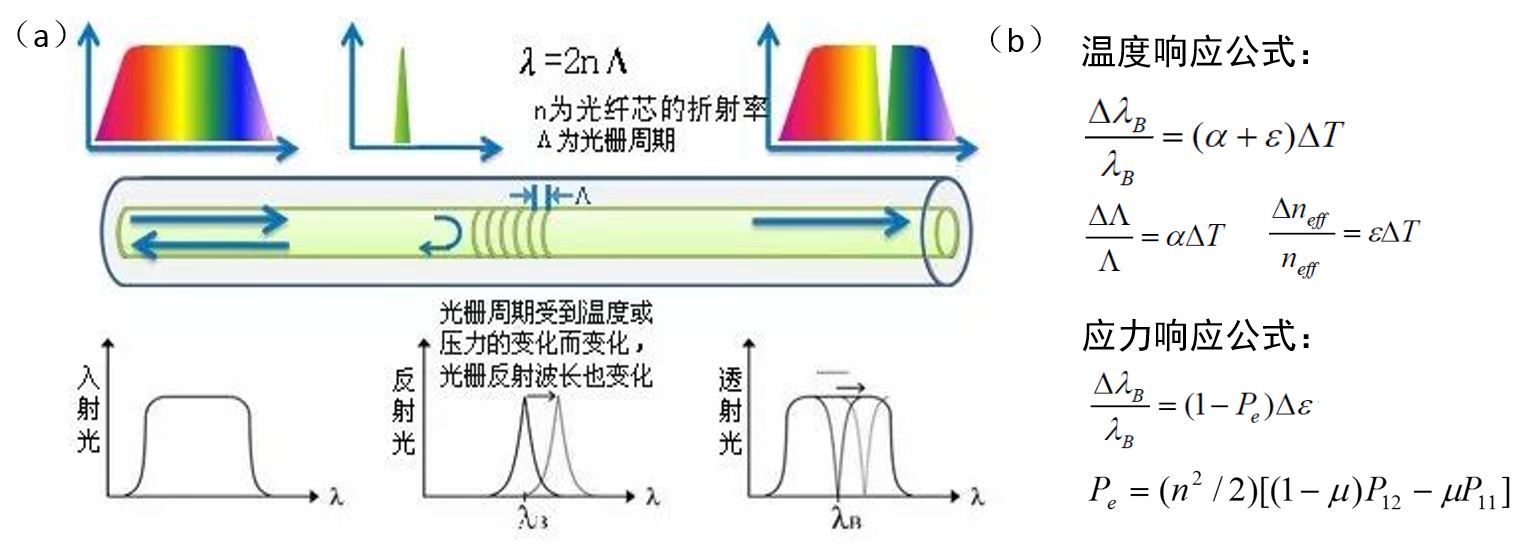 实验详情