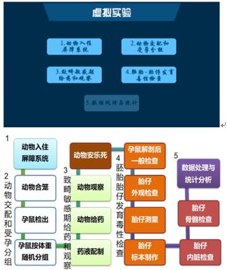 图11 虚拟实验的5个模块和15个交互步骤.png