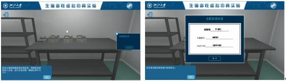 图13 雌雄动物合笼并填写合笼动物笼位标签.png