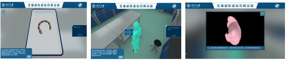 图20 胎仔外观检查.png