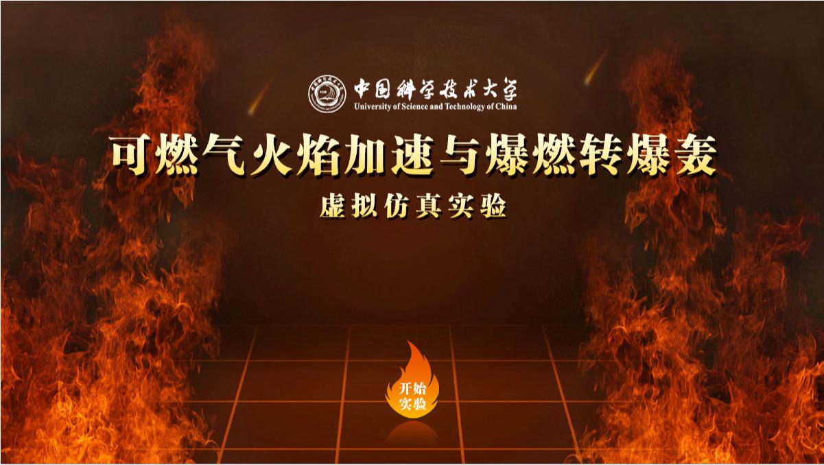 实验详情