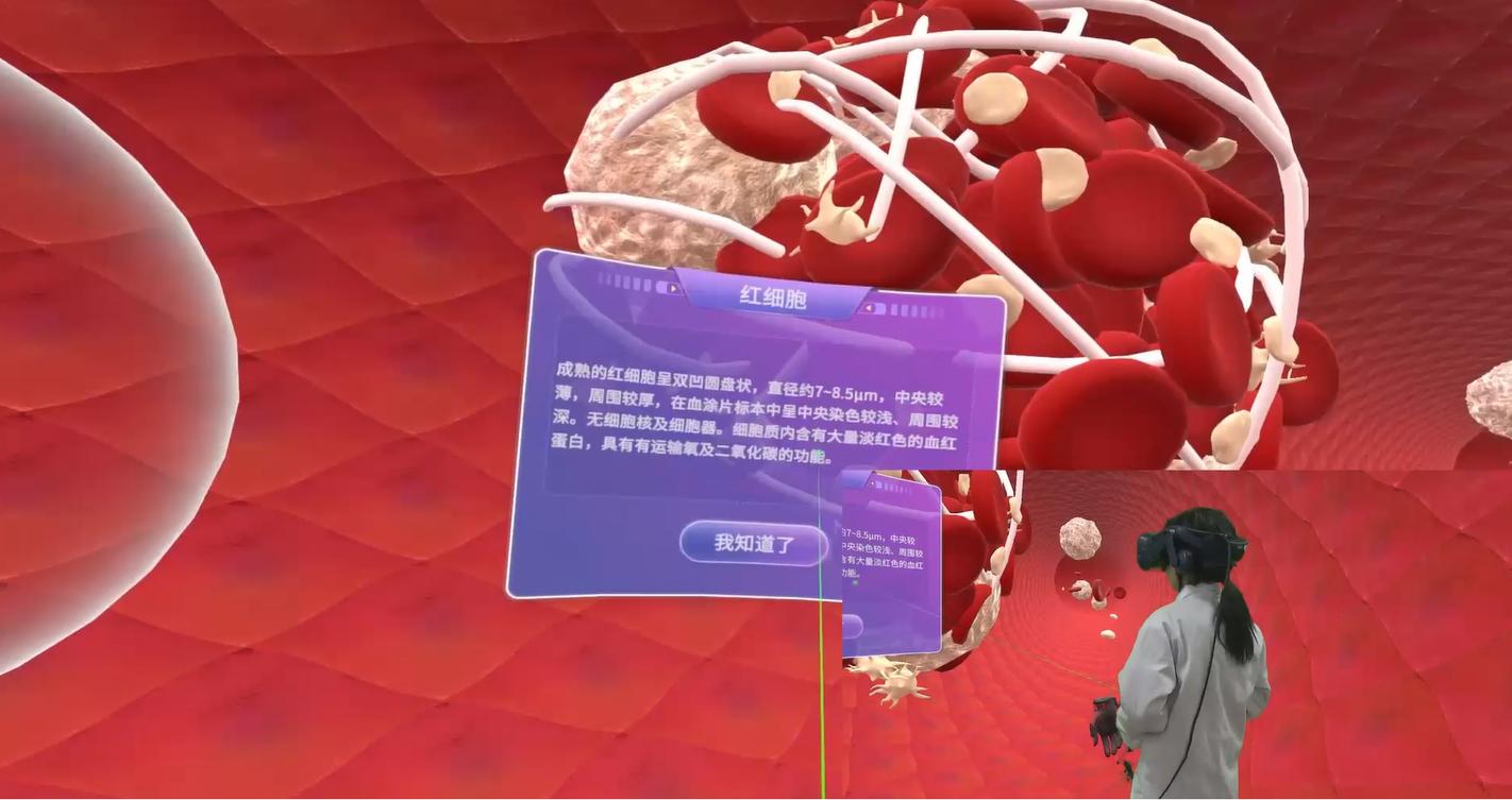 实验详情