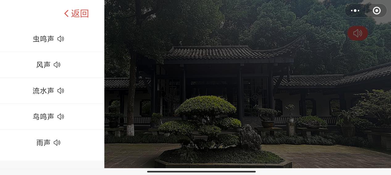 实验详情