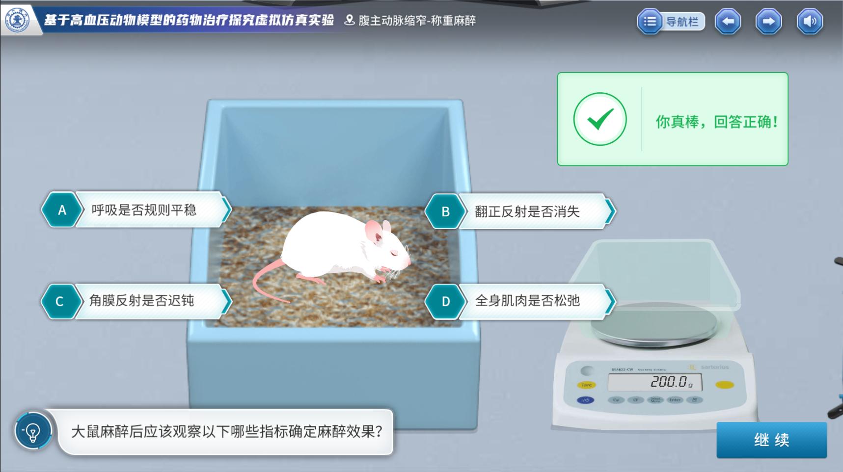 实验详情