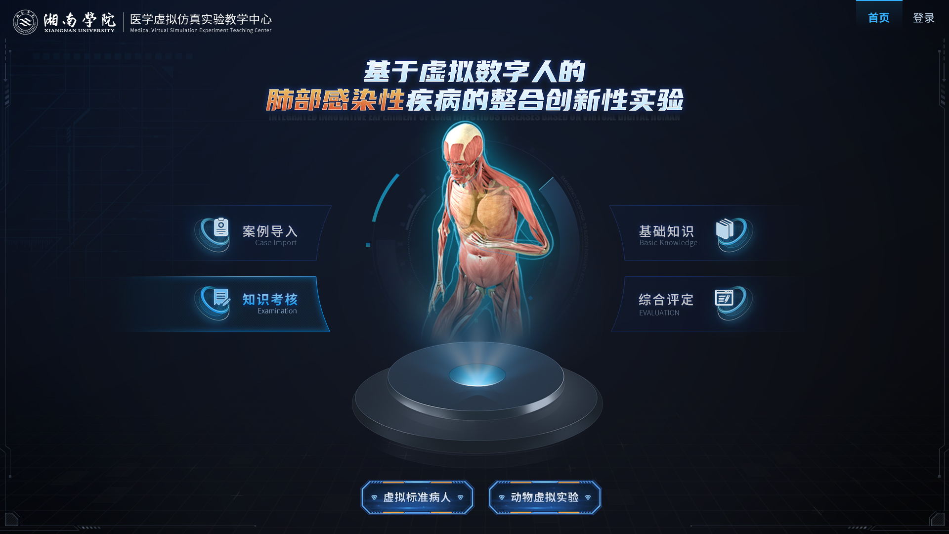 实验详情