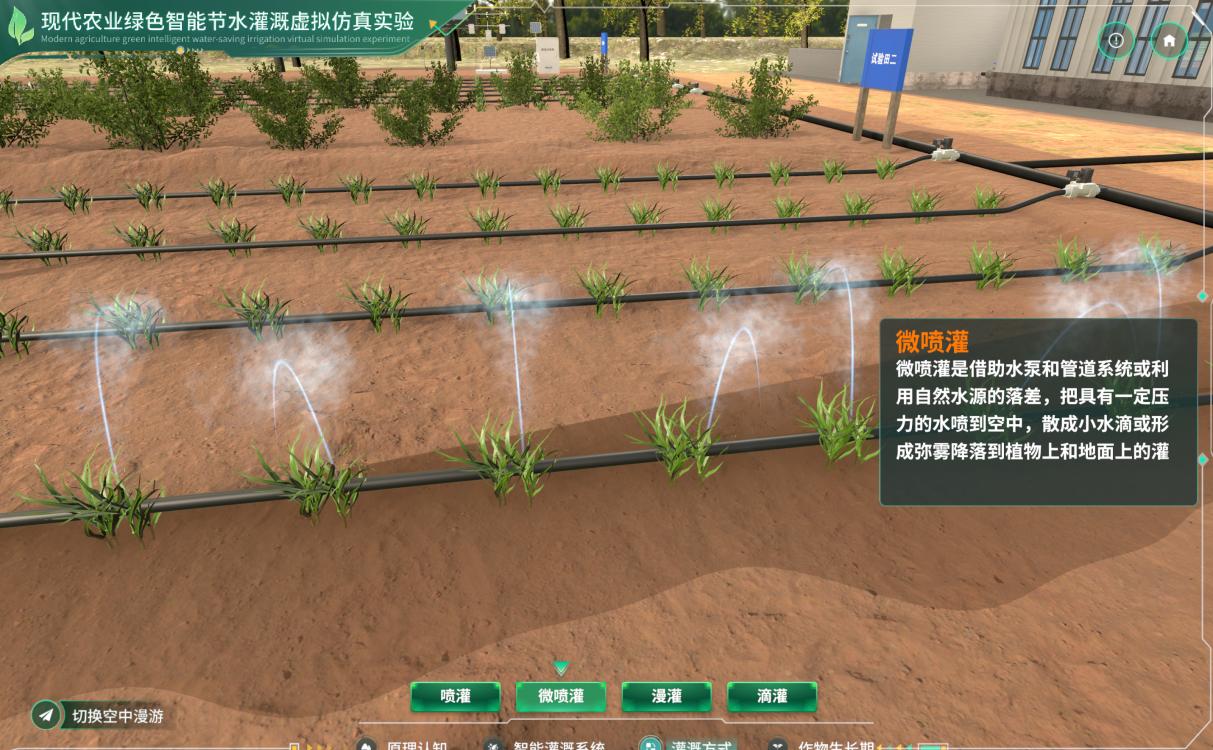 实验详情