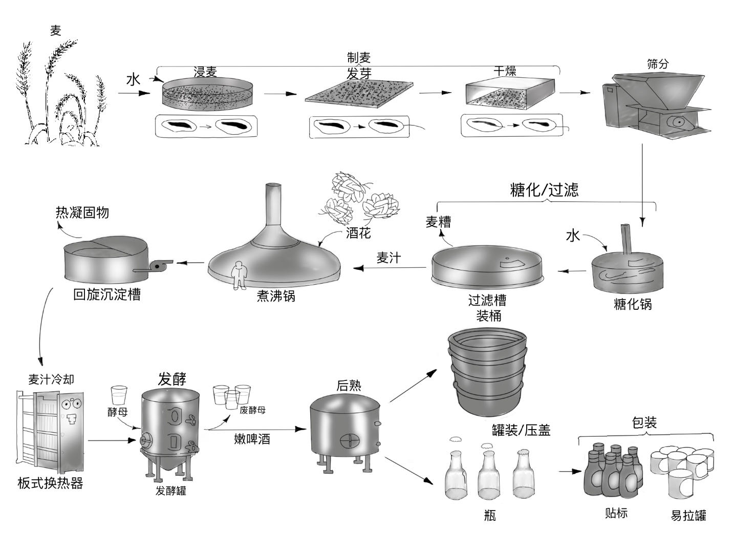 实验详情