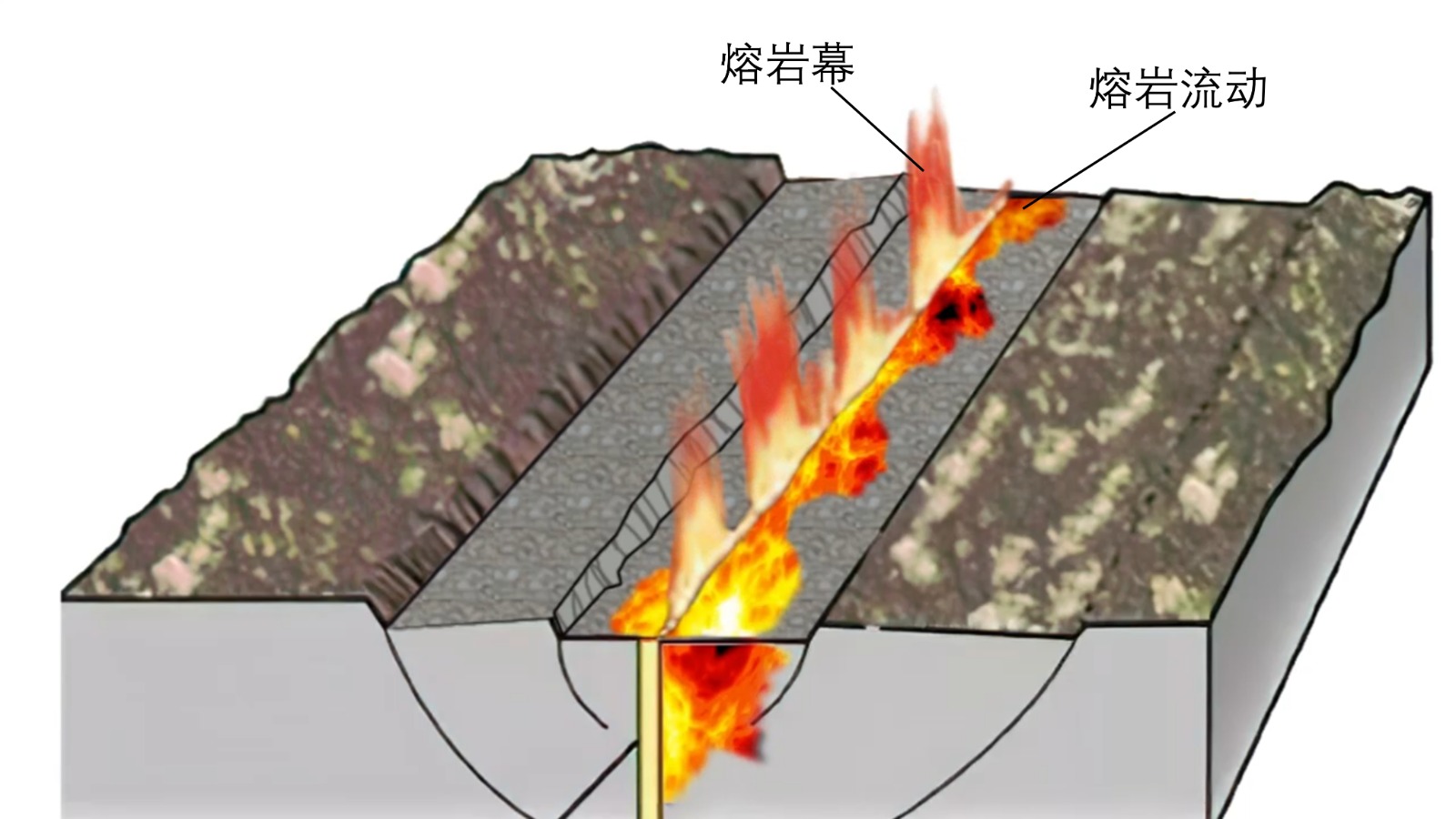 实验详情