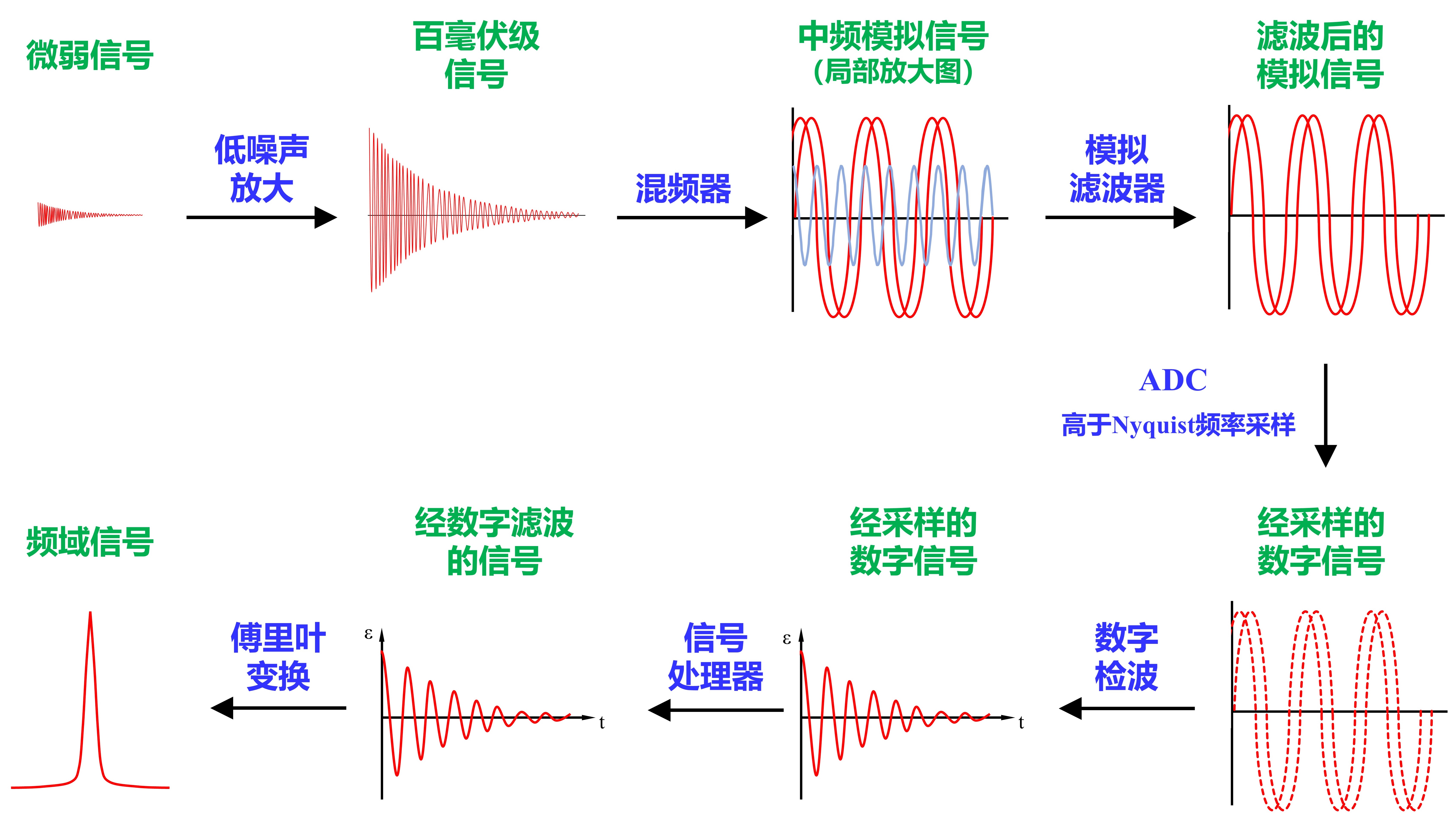 实验详情