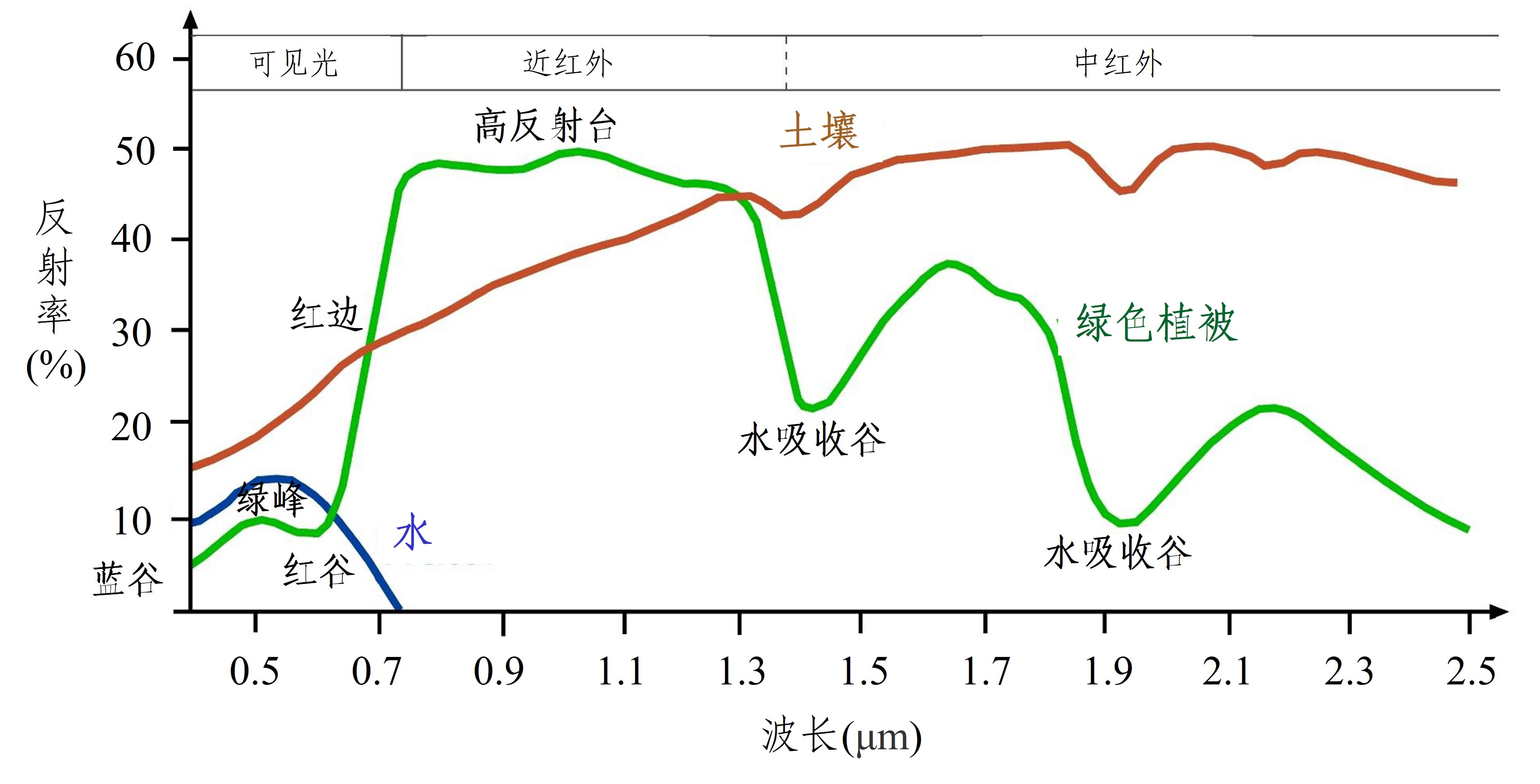 实验详情 