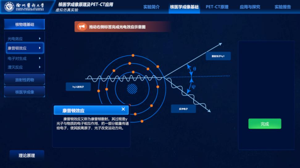 实验详情