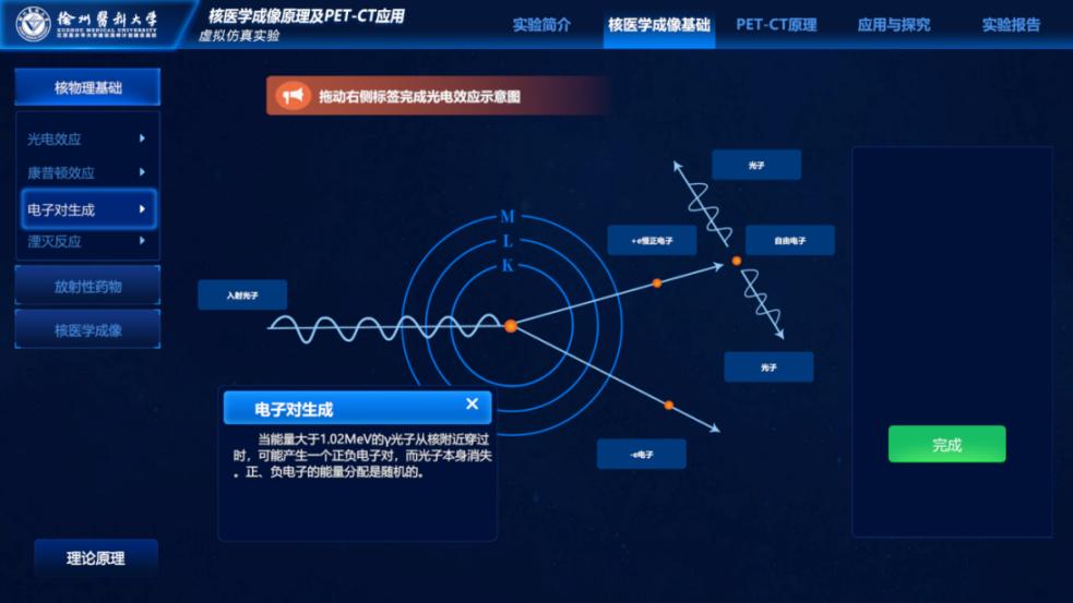 实验详情