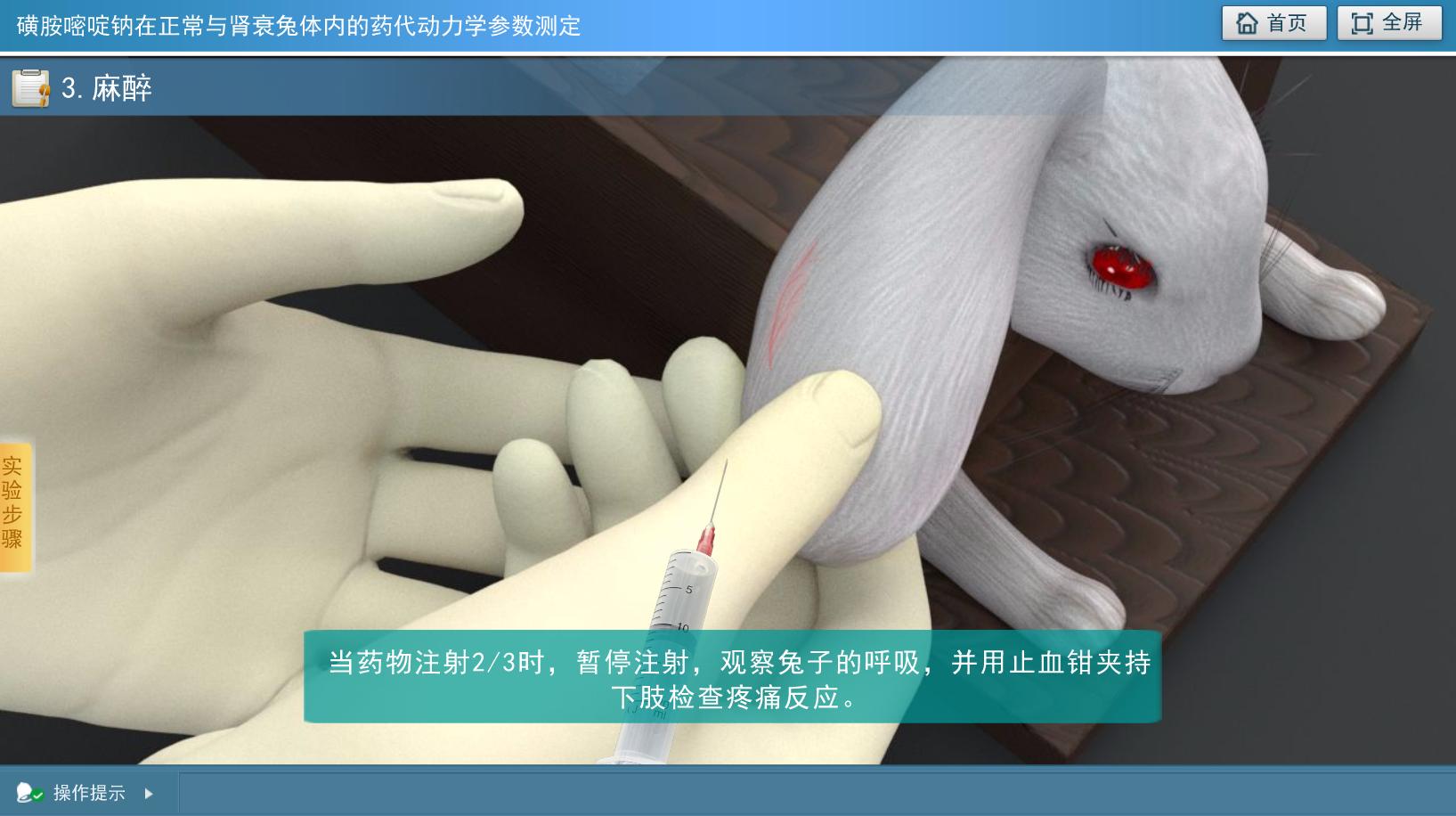 实验详情