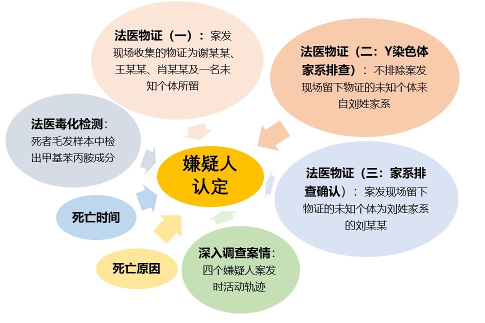 实验详情