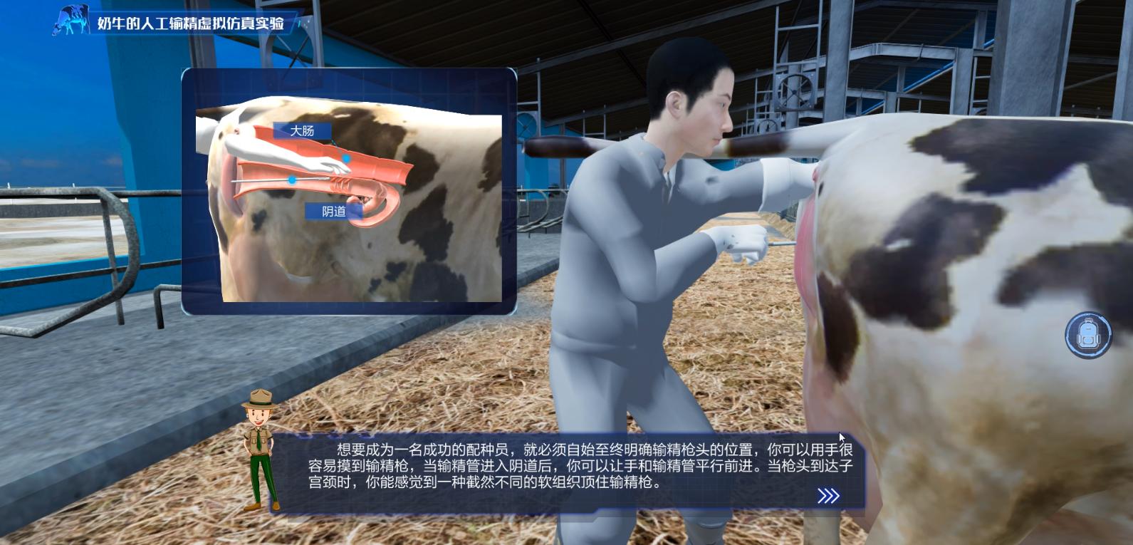 实验详情