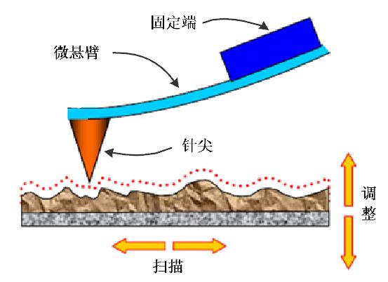 实验详情