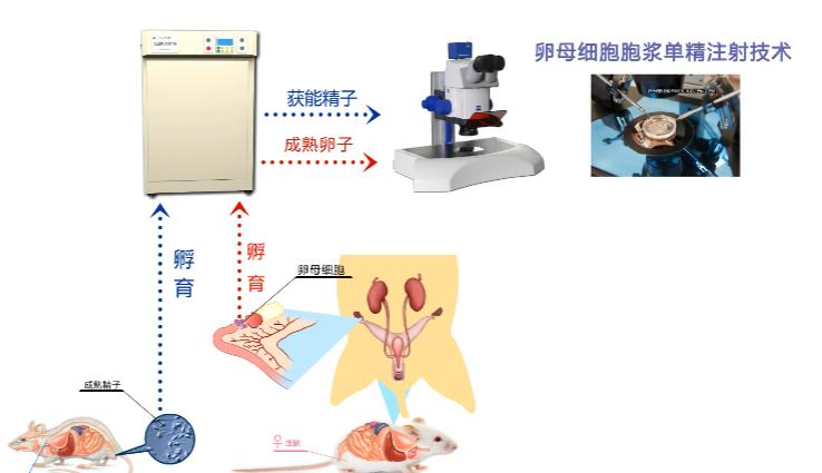 实验详情