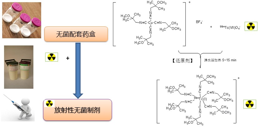 实验详情