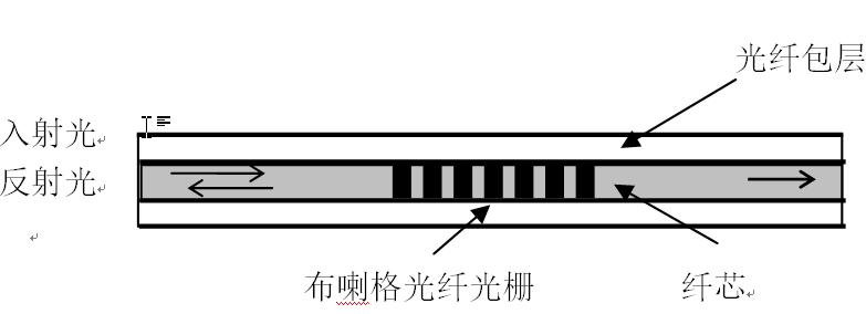 实验详情